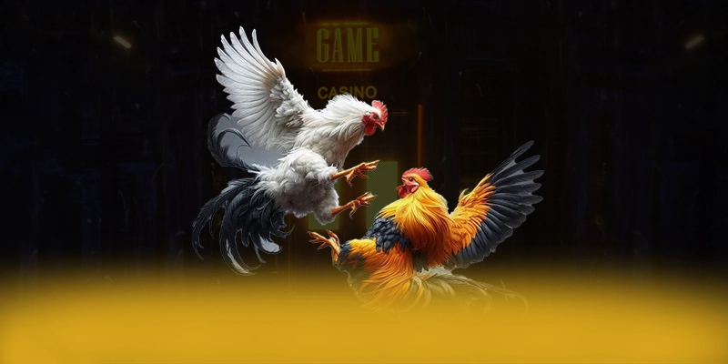 KUWIN - Cổng game với phần thưởng siêu lớn tại Việt Nam – Săn ngay KUWIN