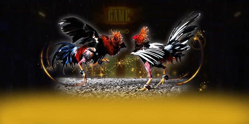 KUWIN - Ứng dụng giải trí được cộng đồng tin tưởng được đánh giá cao – Khám phá KUWIN