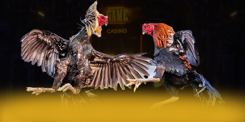 GA6789 - Ứng dụng giải trí có nhiều event hấp dẫn được quan tâm nhất – Khám phá chương trình GA6789