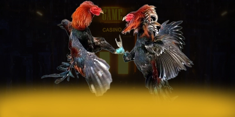 CONGA6789 - Thương hiệu game uy tín cam kết bảo vệ người chơi tuyệt đối 2025 – Khám phá sự an toàn và minh bạch tại CONGA6789