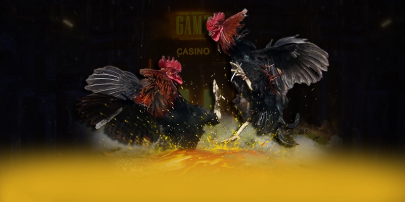 
Khám phá ngay VWIN - Cổng game có thưởng lớn 2025
