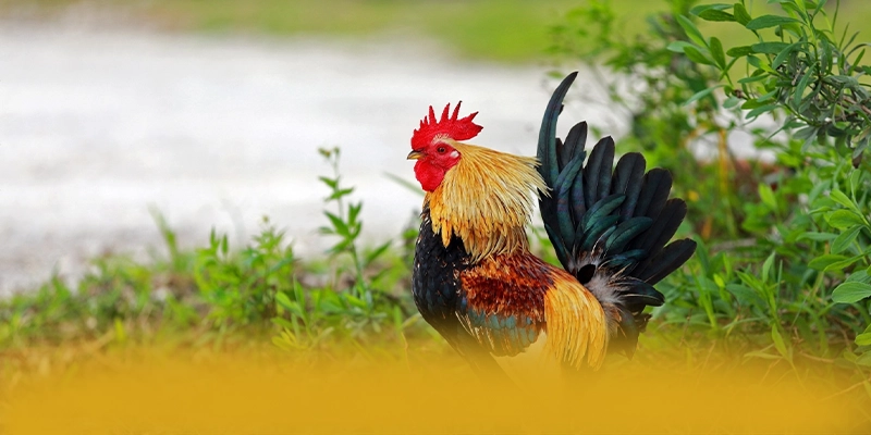 WIN79 - Thương hiệu hào phóng 2025 – Khám phá chương trình WIN79