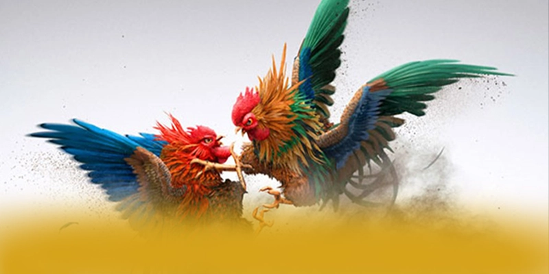 DAGA88 - Thương hiệu game uy tín bảo mật cao được người chơi tin dùng – Khám phá cơ chế bảo mật hiện đại tại DAGA88