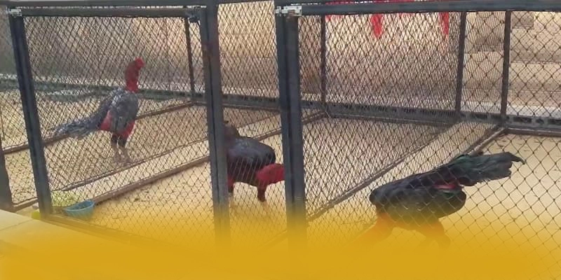 W88 – Trang game uy tín số 1, được người chơi yêu thích.