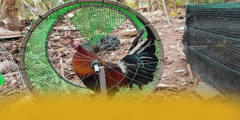 VWIN - Thương hiệu được cộng đồng săn đón hiện nay – Trải nghiệm ưu đãi hấp dẫn cùng VWIN