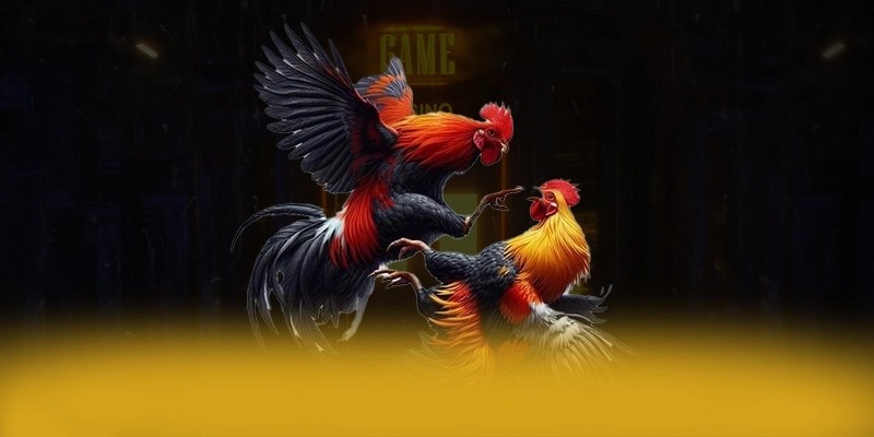 BL555 - Cổng trò chơi chất lượng được quan tâm hàng đầu