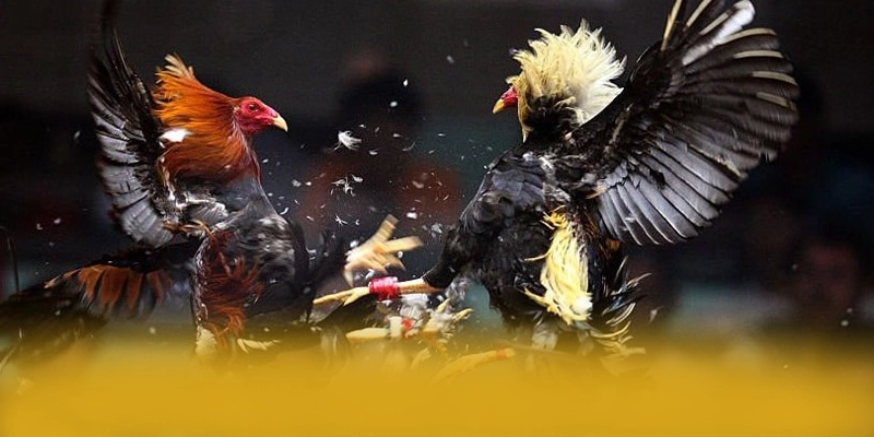 B52 – Cổng game hàng đầu Việt Nam, được người chơi yêu thích. B52 – Cổng game hàng đầu Việt Nam, được người chơi yêu thích.