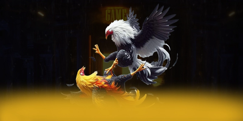 BL555 - Nền tảng cá cược hấp dẫn được giới cược thủ đánh giá cao – Cập nhật event và quà tặng tại BL555