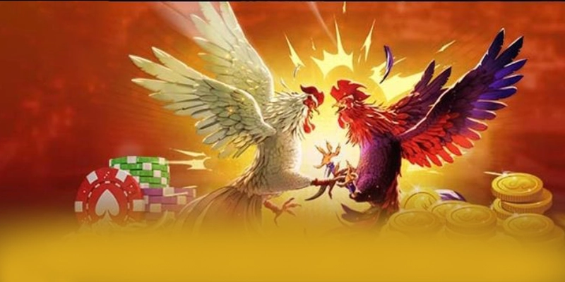 FC88 - Cổng giải trí cam kết bảo vệ người chơi tuyệt đối được cộng đồng game thủ công nhận – Khám phá FC88